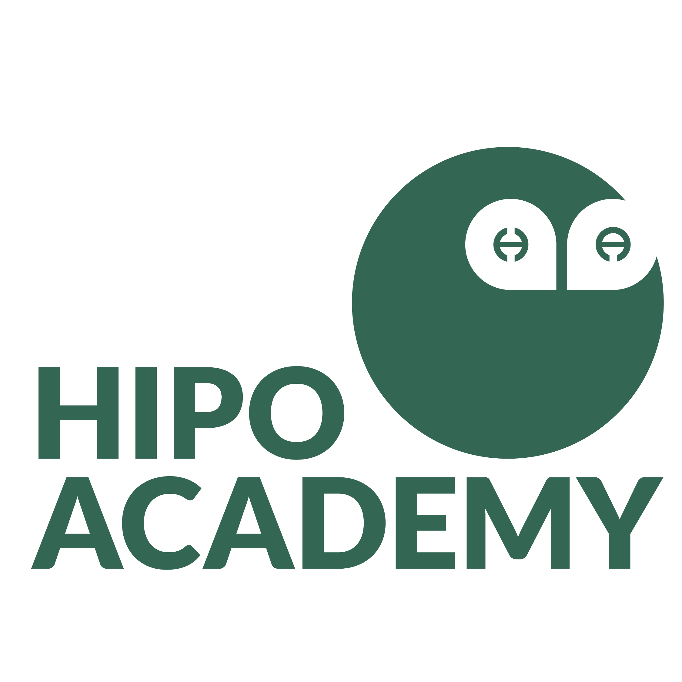 HiPo Academy